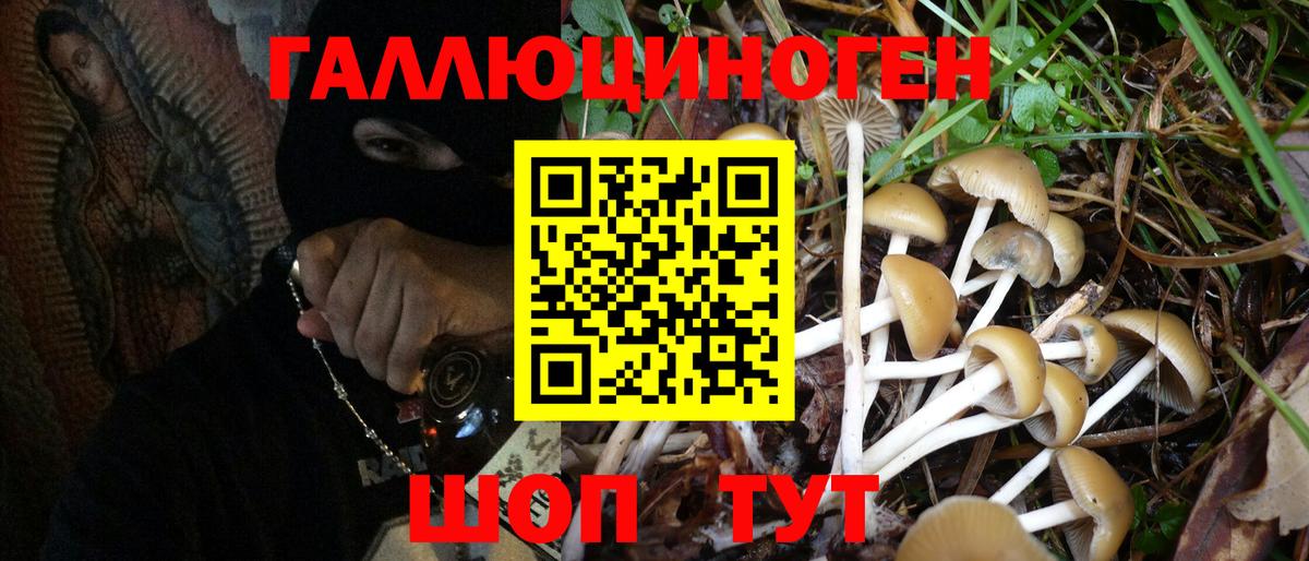 Псилоцибиновые грибы мухоморы Кропоткин
