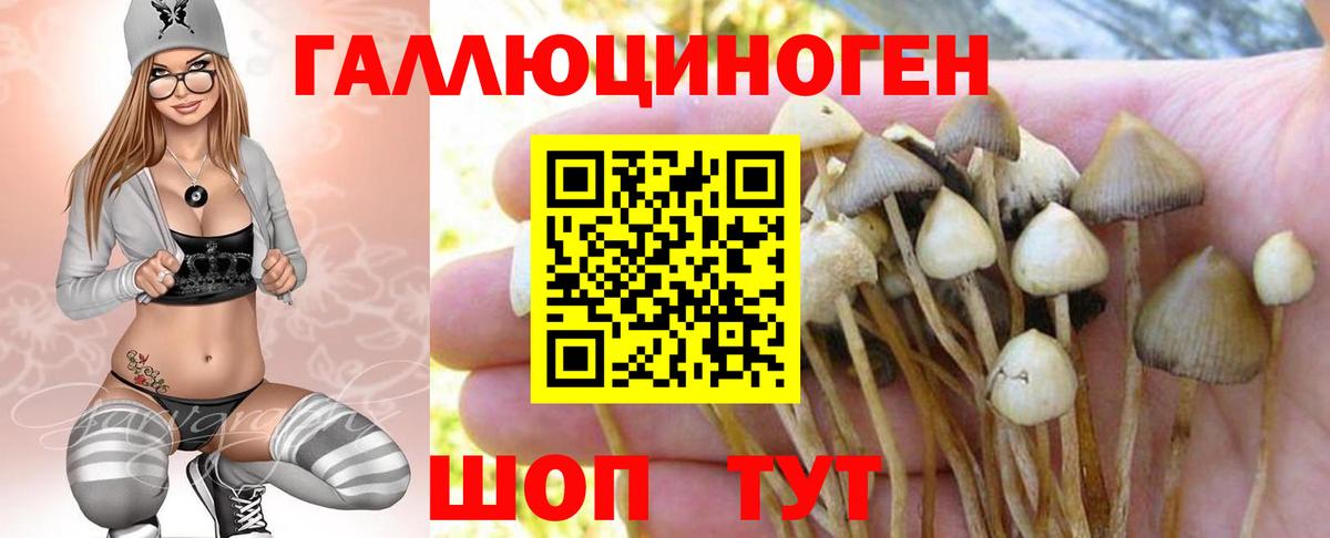 Псилоцибиновые грибы мицелий  Галлюциногенные грибы Psilocybe  Кропоткин  Вход с VPN 